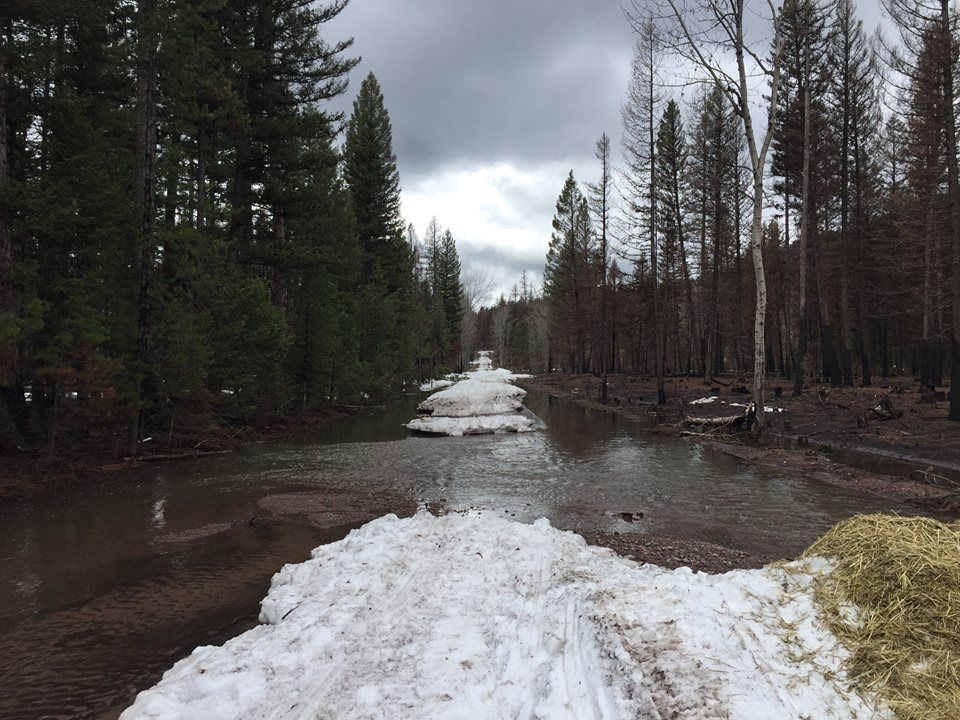 Beaver Finley Road #9974 near Seeley Lake (Lolo NF photo)