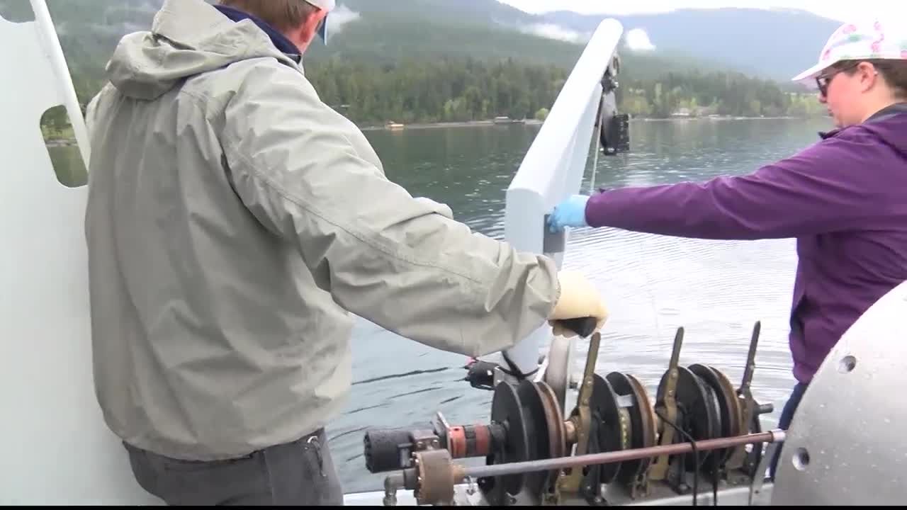 Scientists with the Flathead Lake Biological Station are sampling Flathead Lake for aquatic invasive species.